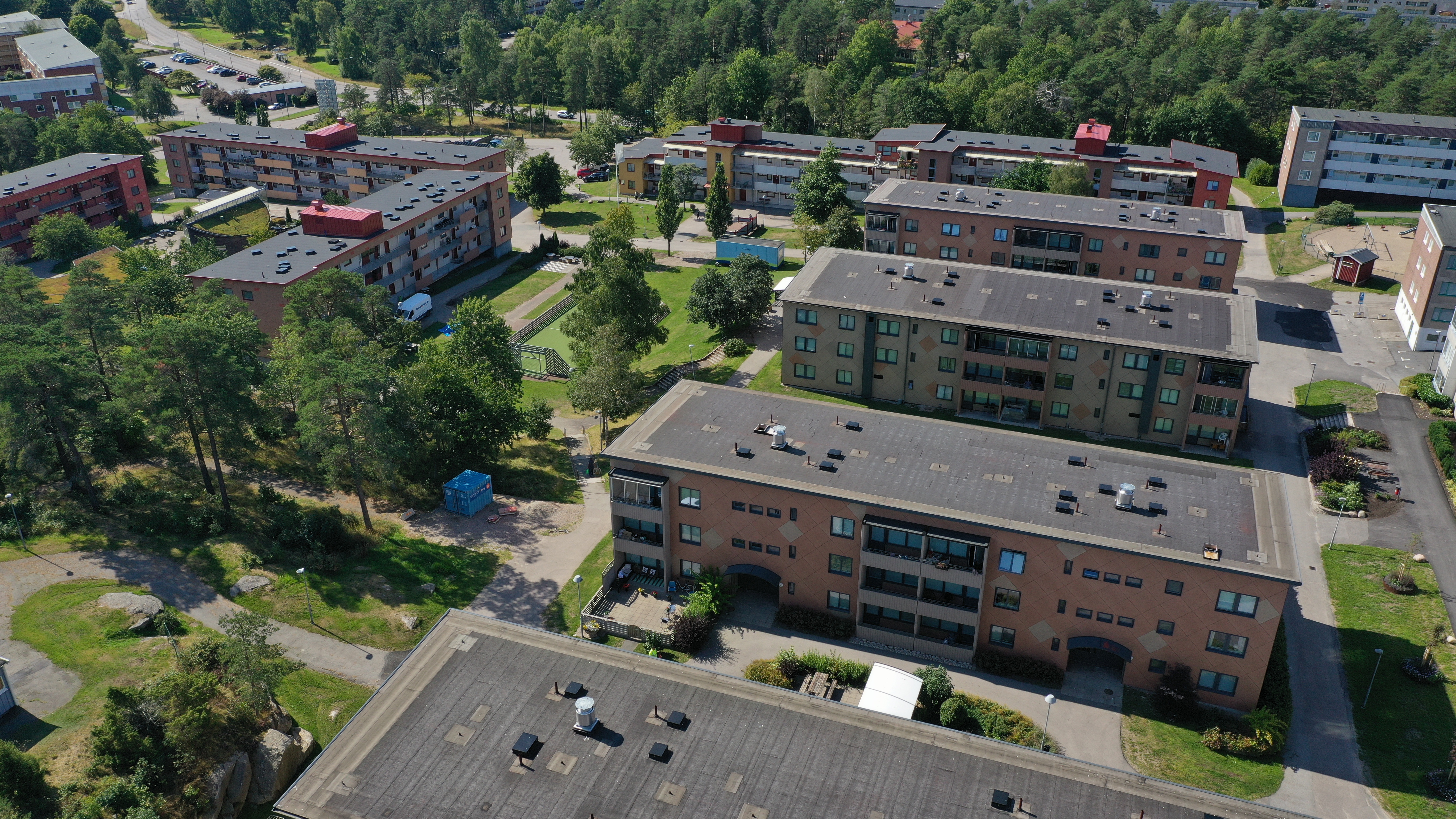 Sälghugget och Hyggestråket på Dalaberg