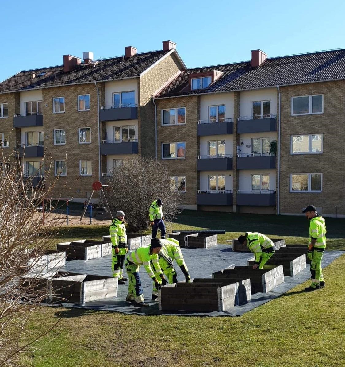 odlingplats förbereds av våra miljövärdar