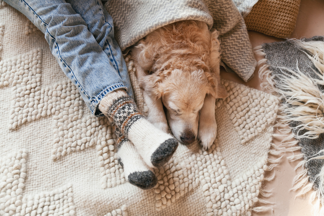 Person och hund som ligger på golvet