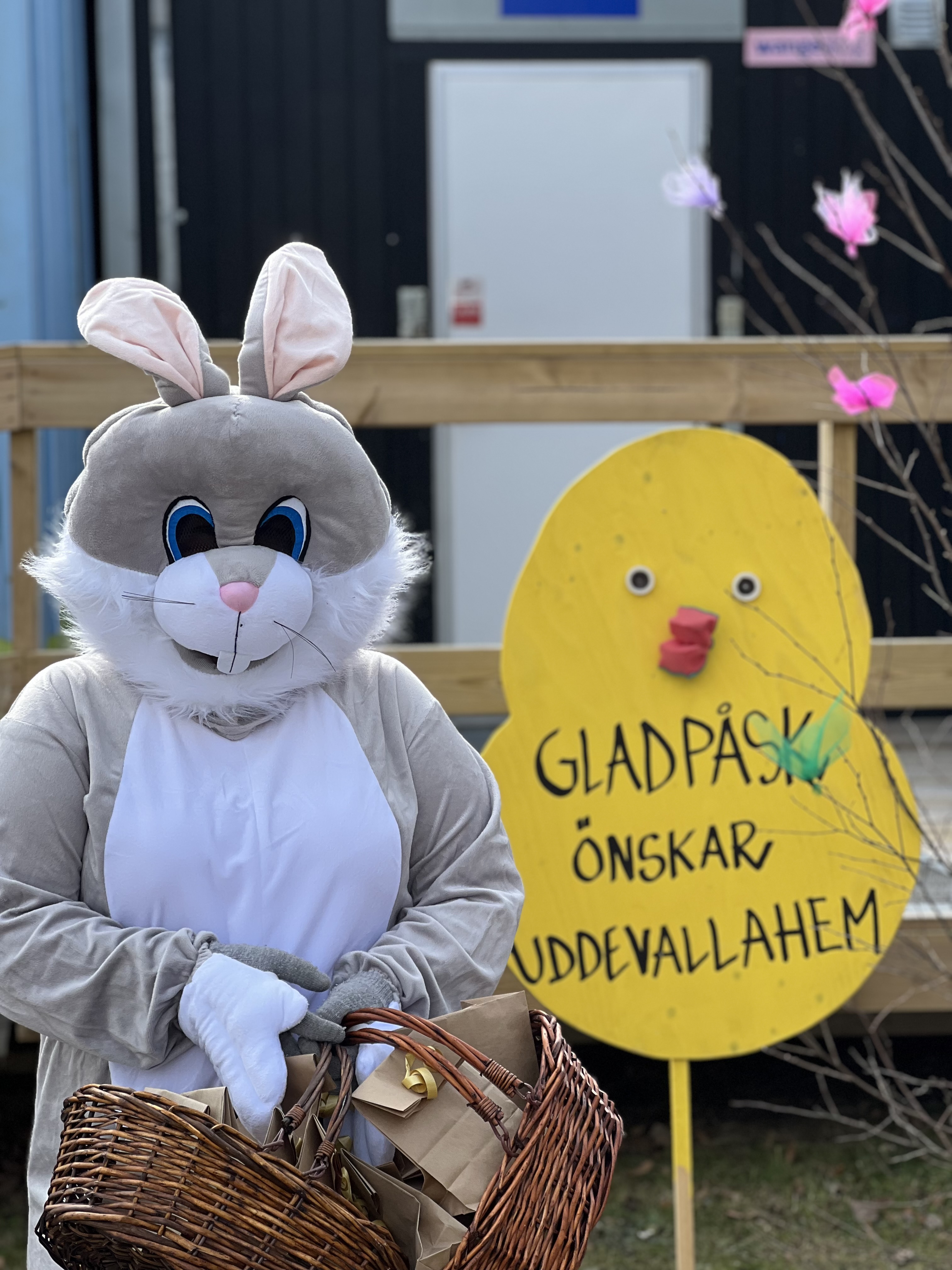 Uddevallahems påskhare önskar Glad Påsk!