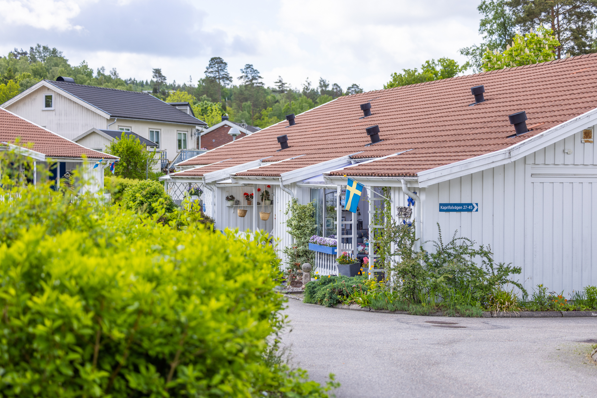 Bild på radhuset adress Kaprifolvägen 21 närmast i bild i området Hälle.